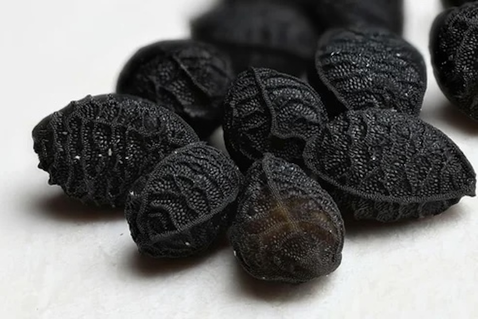 Semillas negras y glucosa